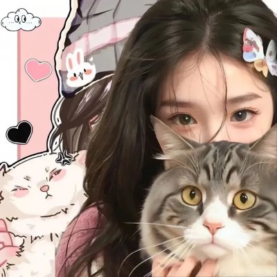 为什么猫都叫不来